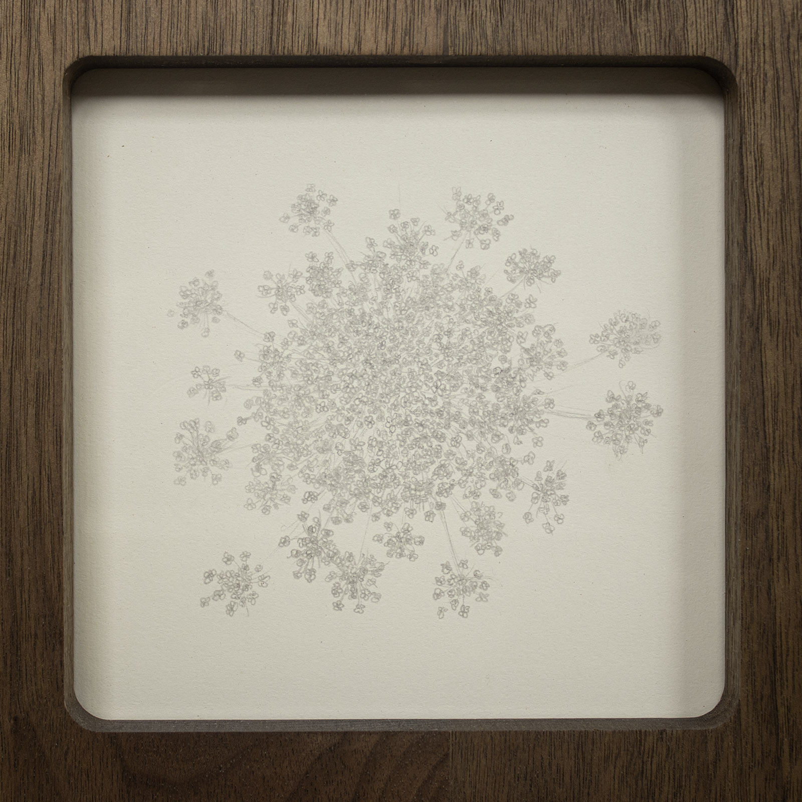 Flower, Hand, Piggy, Flower 4